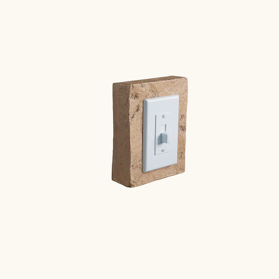 Outlet Switch Trim - Porcini