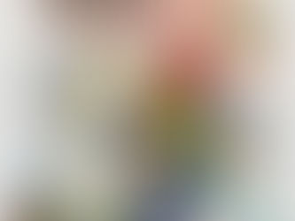 Championnat de France des oiseaux d'élevage.