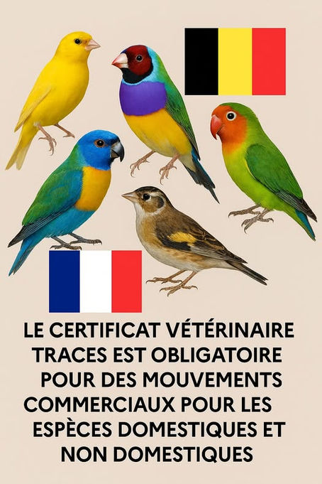 Certificat vétérinaire TRACE