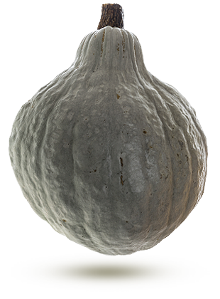 Résultats de recherche d'images pour « courge hubbard »