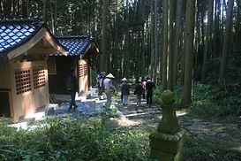 IMG_1420 (800x533) (2).jpg