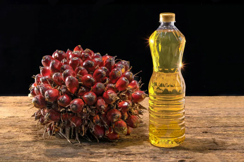 aceite-de-palma-usos-propiedades-daños-1024x683.webp