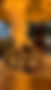 toritamamadrid.jpeg