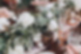 AdobeStock_247307153.jpeg