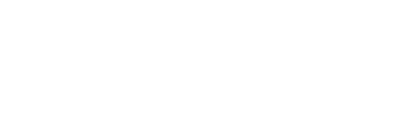 PIVT_logo_white.png