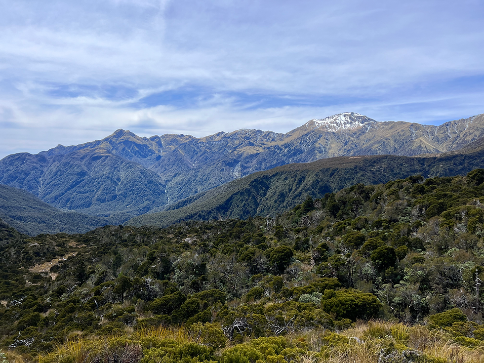 Tramping in the South Island, not a pine in sight - photo by Aimee, 2023