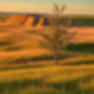 Nebraska Sandhills in the spring.jpg