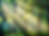 278647697_10160610624049880_6437401278478492579_n (1)_edited.png