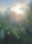 33ad94a9-756b-4503-accb-70e04cc41765.jpg