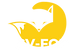 cv-fox logo.png