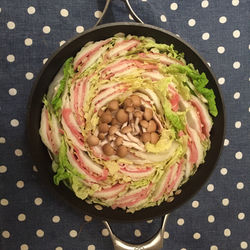 napa cabbage and pork hot pot