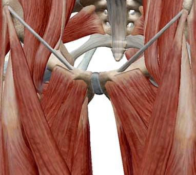 股関節が痛むと仰る方の施術。