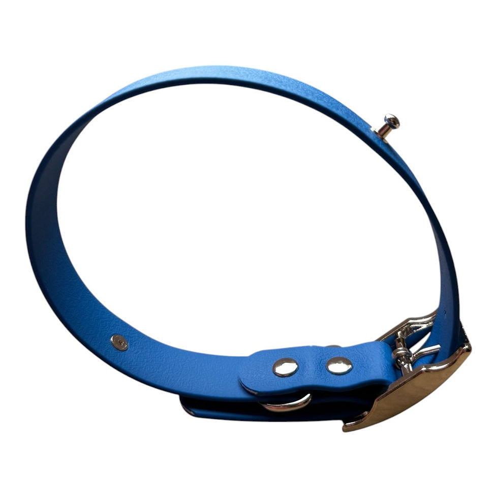 Miniature : Collier - bleu