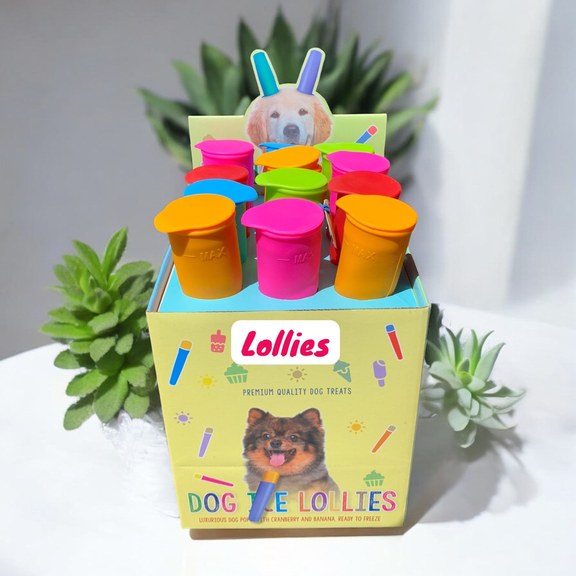 Lollies - glaces pour chien