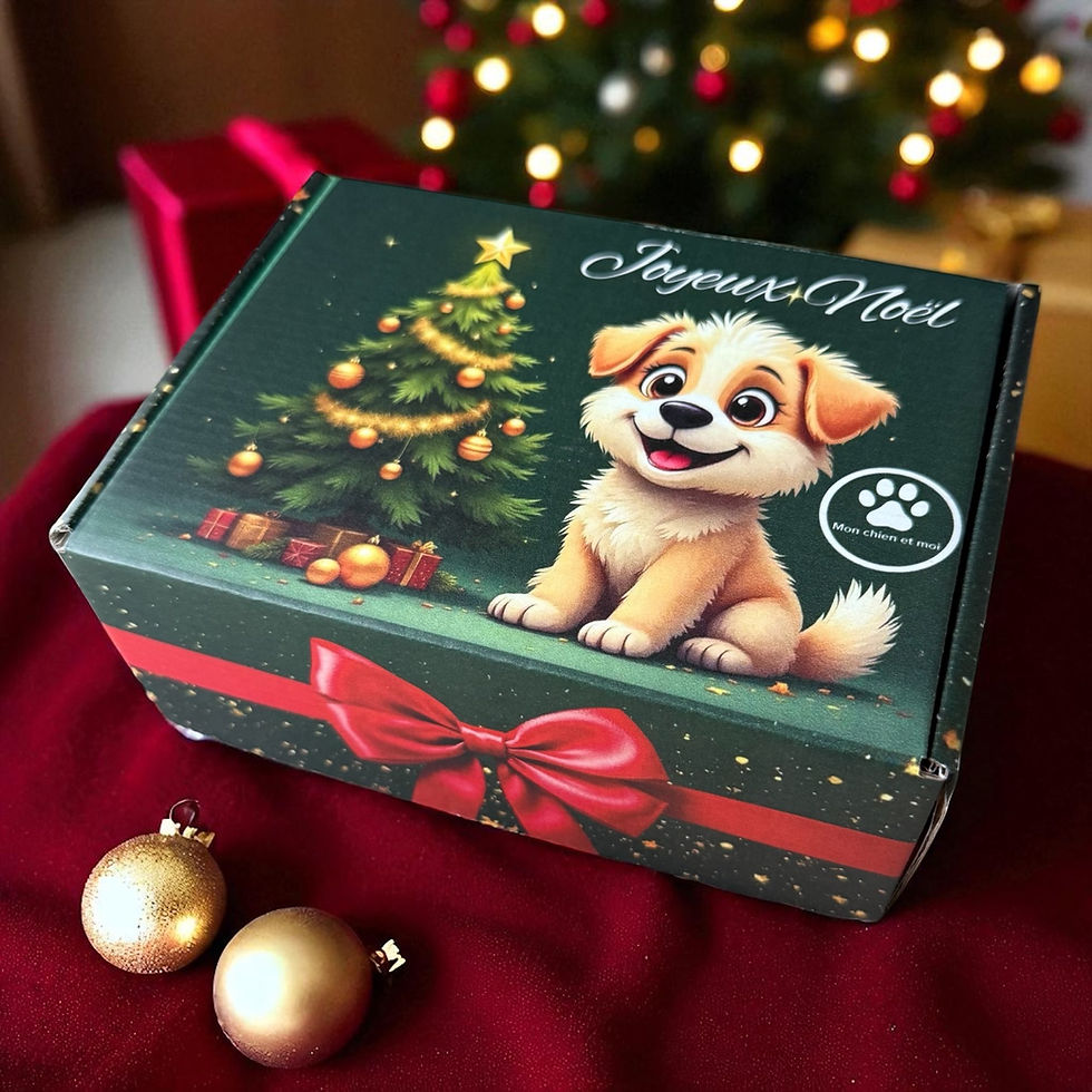 Cadeau de Noël - surprise