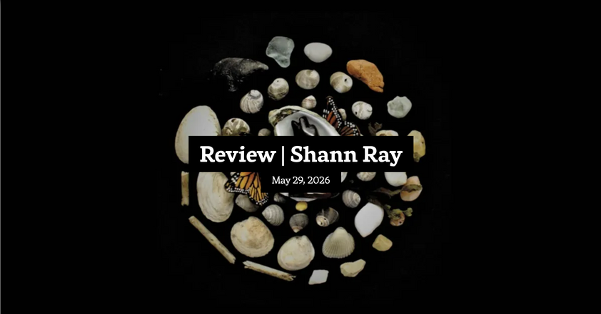 The Lives of Monarch Butterflies: A Review of Wolves in Shells by Kimberly Ann Priest