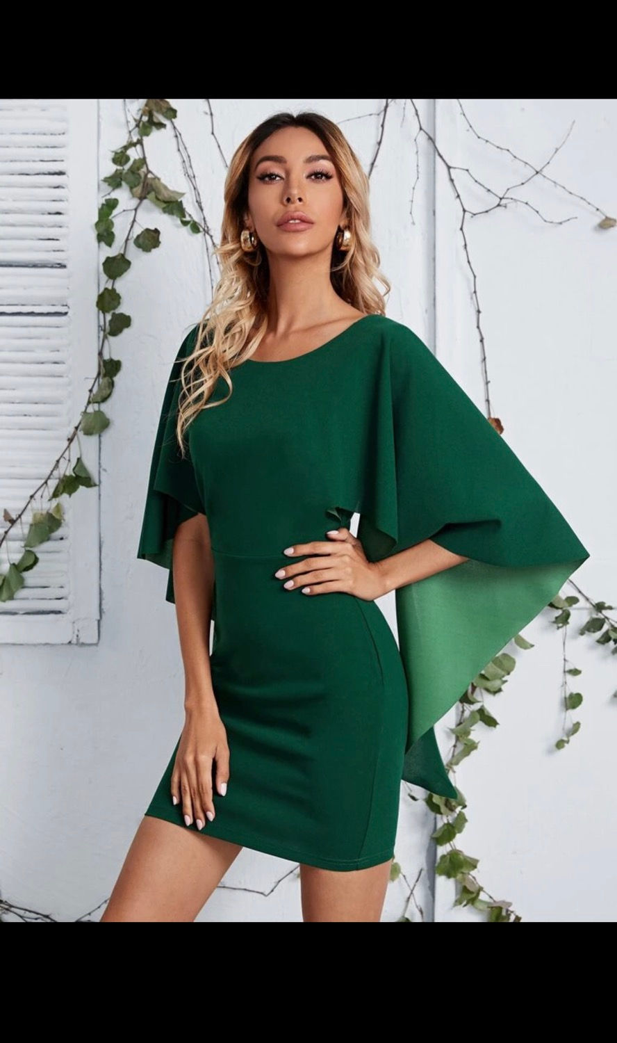 الصورة المصغرة: Holly