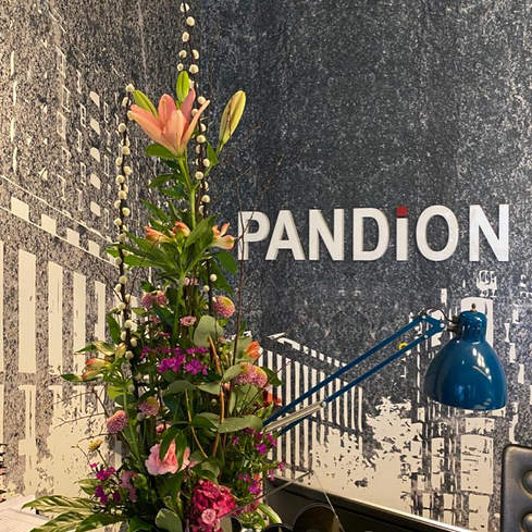 Pandion