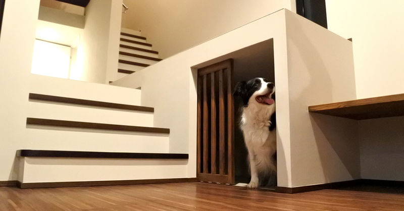 愛犬のお部屋