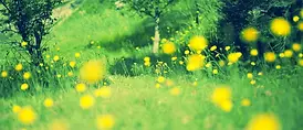患者さんに適切で温かみのある医療を提供いたします。