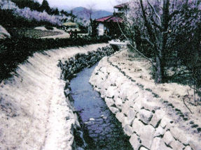 花見山-自然石(砕石石)