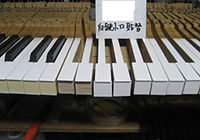 鍵盤 変色 貼替可能