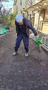 竹・笹の伐採後施工