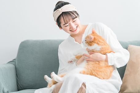 飼い主に抱かれる猫