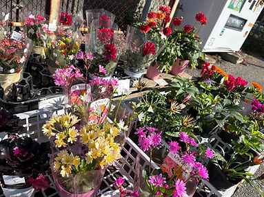 お花の販売