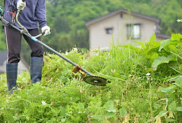 草刈り