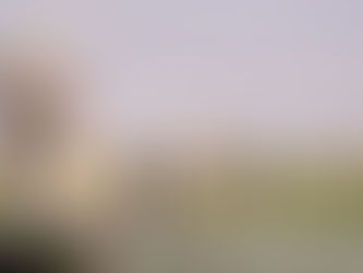 People in mokoro canoes navigate a grassy waterway with long poles under a clear sky.