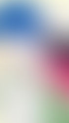 Trend Alert: Sweatshirts