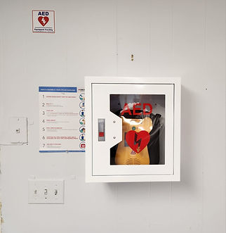 WhatsApp Image 2024-02-24 at 12.28.50.jpeg