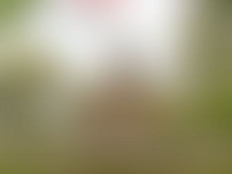 A New Beginning For 'Endless Discoveries'