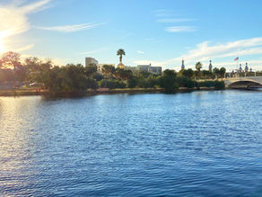 Adventures in Downtown Tampa 