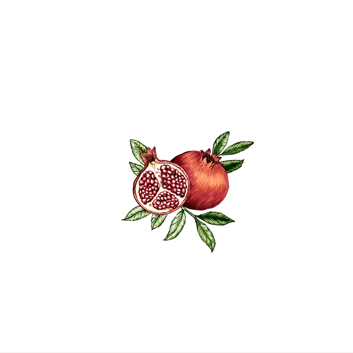 Estampa-Romã.gif