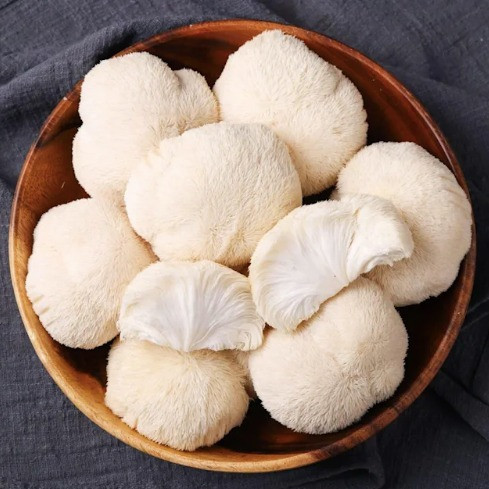 LION'S MANE | Fresh Pick Mushrooms