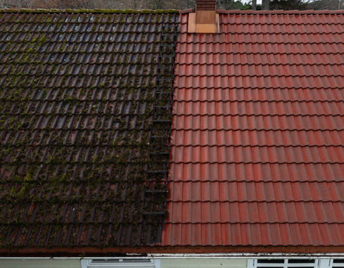 Takvask i Halden. Før og etter. Resultat.