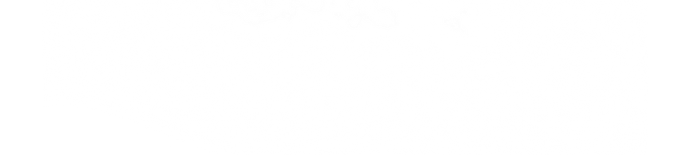 17.png