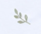 Constant and Co Wedding and Event Planning