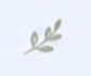 Constant and Co Wedding and Event Planning