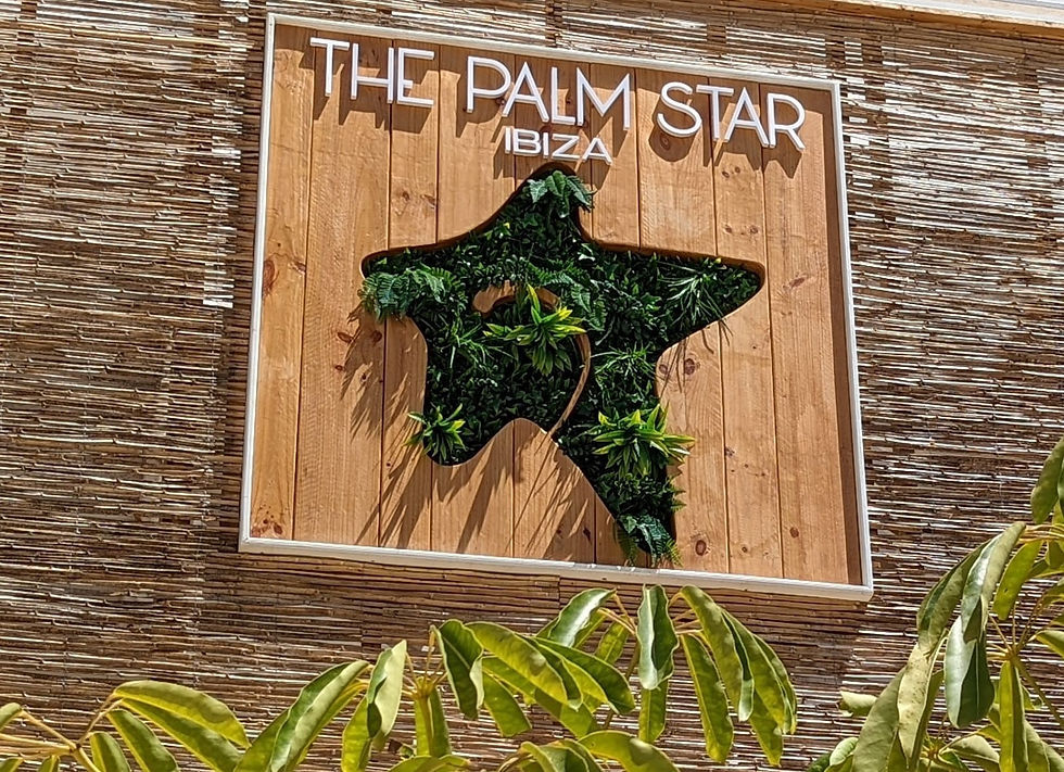 Palm Star Ibiza