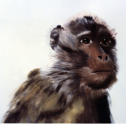 thumb_détail_singe073__1024.jpg