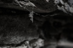 untitled (1 of 1)-2 (3)