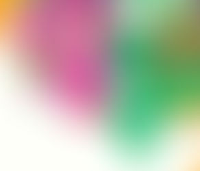 Dignificación y formación integral del Ser humano 