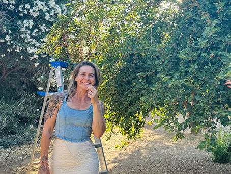 Nurturing Your Inner Fire: Balancing Inspiration and Rest Through Gardening