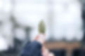 Federal Crop Insurance
