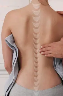 quiropraxia-columna-vertebral-500x334.webp