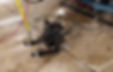 20170501_162603_edited.jpg