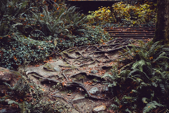 Personal Mentorship Services.jpg